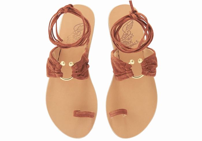 Sandales De Gladiateur Ancient Greek Sandals Kerasia   | MPS-2933532